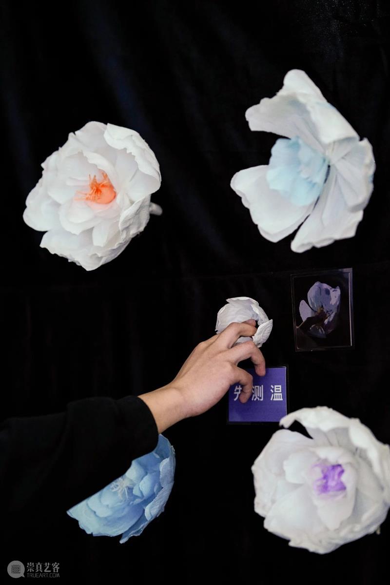 Hyundai Art+Tech|数字艺术节观众现场投票结果公布! 余德耀美术馆 数字 艺术节 观众 现场 结果 余德耀 美术馆 现代汽车 作品 公众 崇真艺客